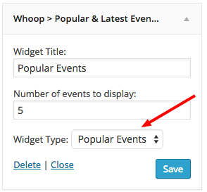 widget-type
